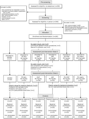Safe and effective delivery of supplemental iron to healthy adults: a two-phase, randomized, double-blind trial – the safe iron study